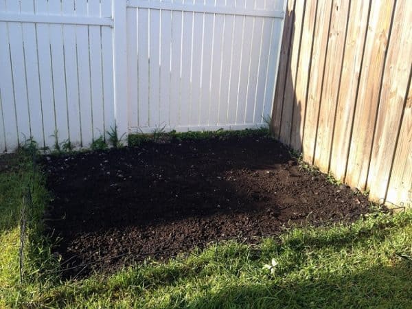 garden plot