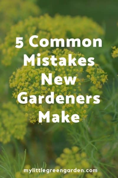 Learn 5 Common Mistakes New Gardeners Make #beginnergardening #gardening #gardentip #mylittlegreengarden 5 Common Mistakes New Gardeners Make