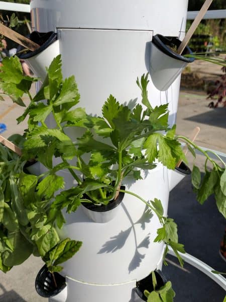 Hydroponics Method
