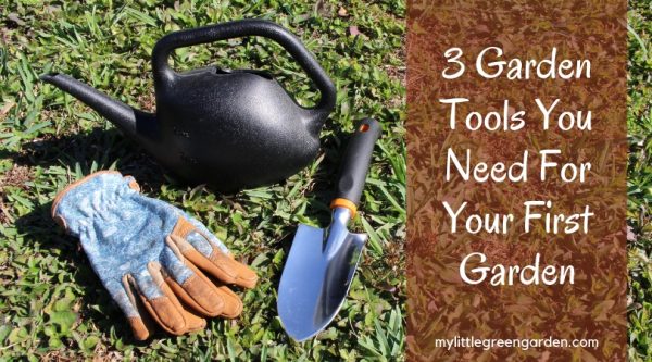 3 Garden Tools You Need For Your First Garden 3 Garden Tools You Need For Your First Garden